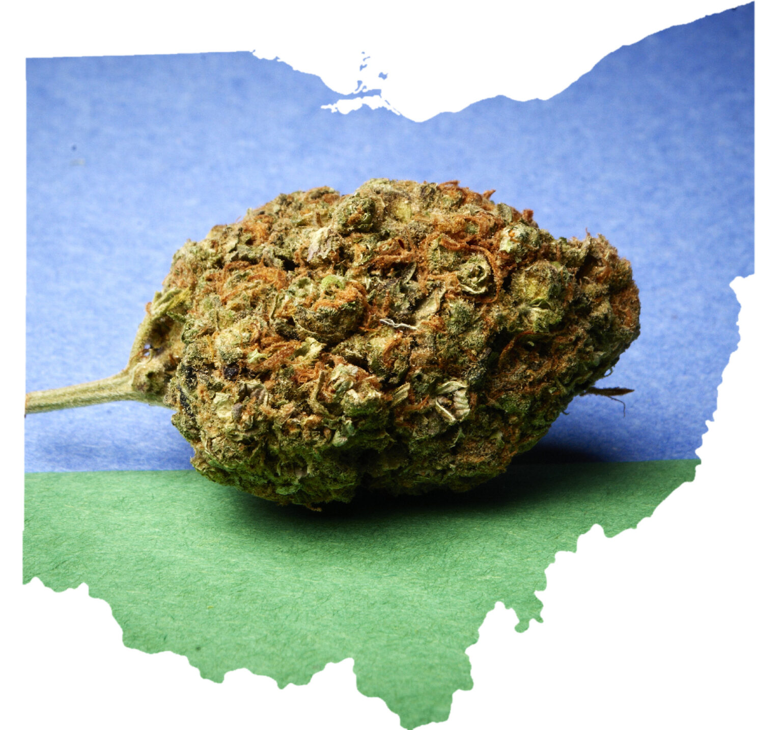Ohio Cannabis Laws Woodrow Technologies